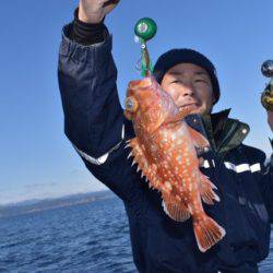 渡船屋たにぐち 釣果