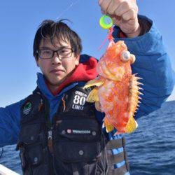 渡船屋たにぐち 釣果