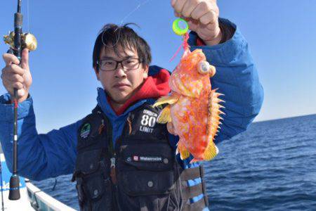 渡船屋たにぐち 釣果