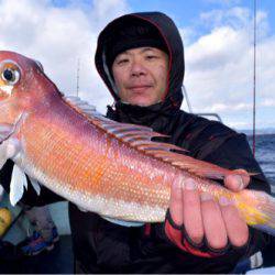 渡船屋たにぐち 釣果