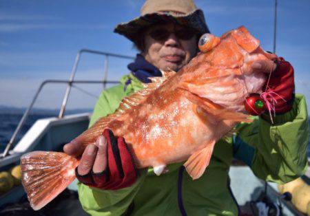 渡船屋たにぐち 釣果