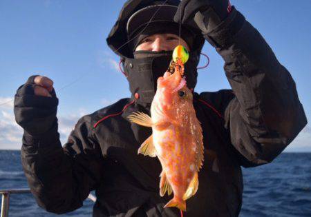 渡船屋たにぐち 釣果