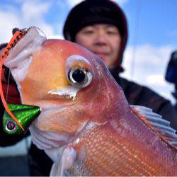 渡船屋たにぐち 釣果