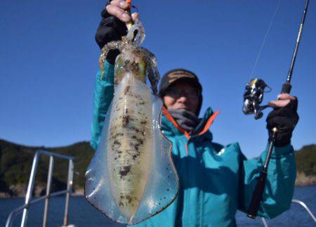 渡船屋たにぐち 釣果