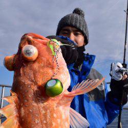 渡船屋たにぐち 釣果