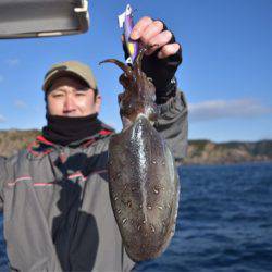 渡船屋たにぐち 釣果