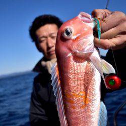 渡船屋たにぐち 釣果