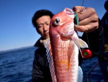 渡船屋たにぐち 釣果