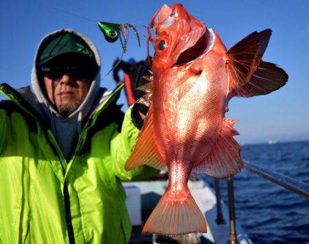 渡船屋たにぐち 釣果