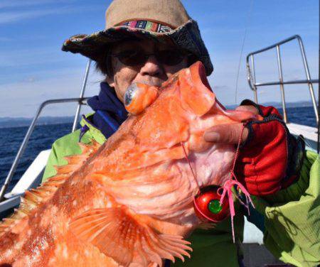 渡船屋たにぐち 釣果