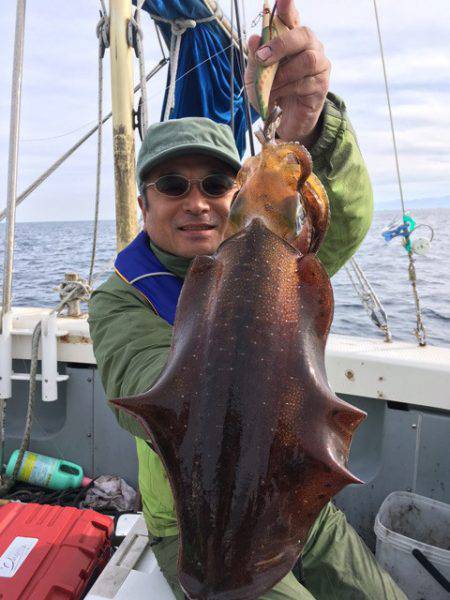 エヌスタイル 釣果