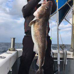 エヌスタイル 釣果