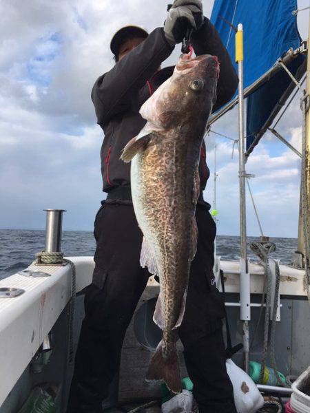 エヌスタイル 釣果