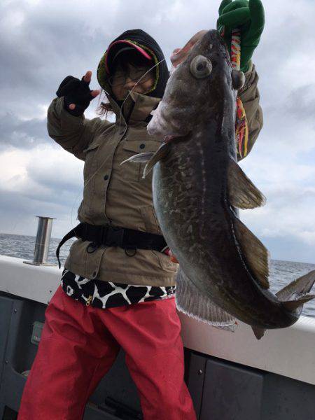 エヌスタイル 釣果