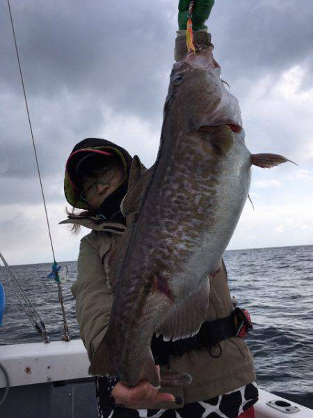 エヌスタイル 釣果