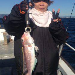 釣鯛洋 釣果