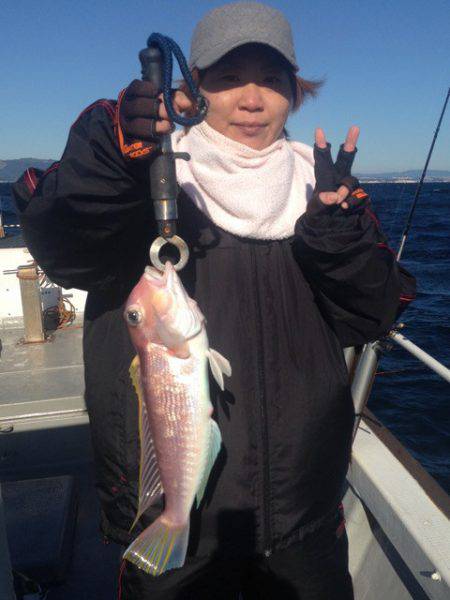 釣鯛洋 釣果