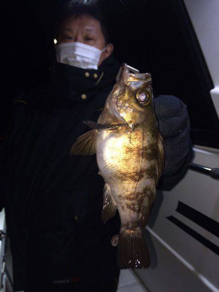 釣人家 釣果