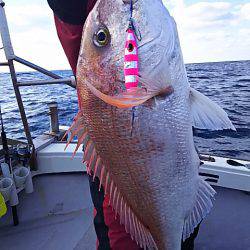 光生丸 釣果