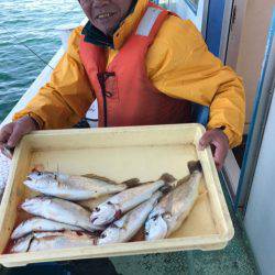 ヤザワ渡船 釣果