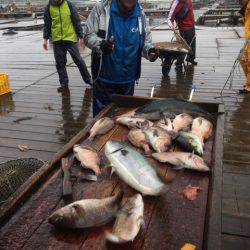 釣り堀水宝 釣果