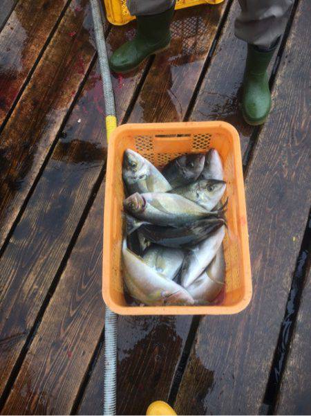 釣り堀水宝 釣果