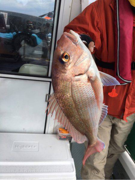 さくら丸 釣果