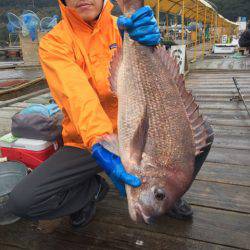 釣り堀水宝 釣果