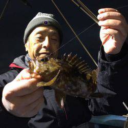 ヤザワ渡船 釣果