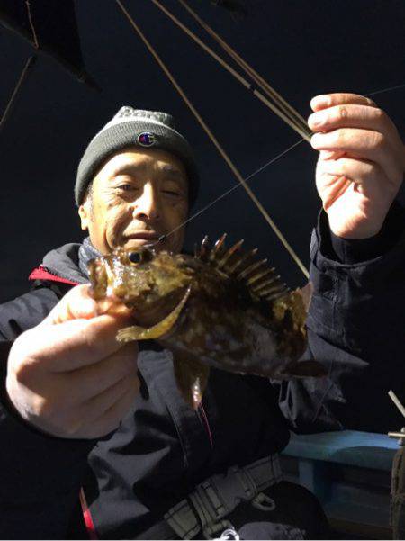 ヤザワ渡船 釣果