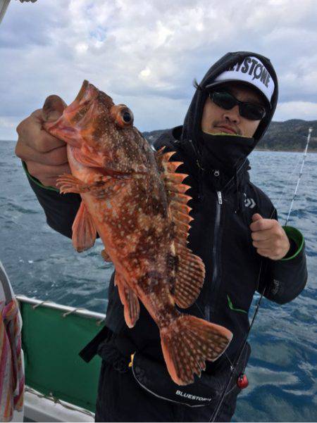 さくら丸 釣果