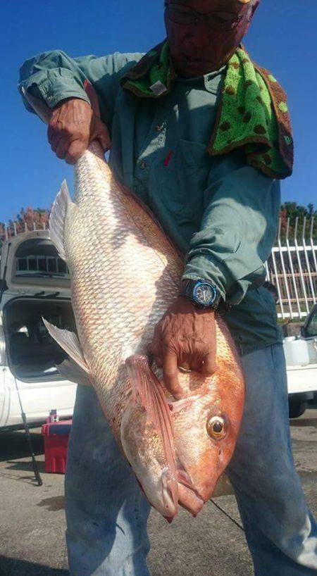 だて丸 釣果