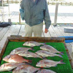 海の釣堀 海恵 釣果