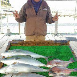 海の釣堀 海恵 釣果