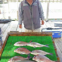 海の釣堀 海恵 釣果