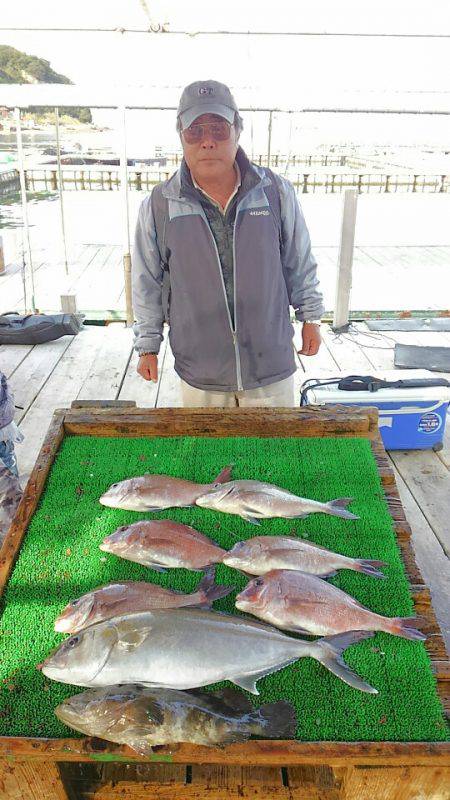 海の釣堀 海恵 釣果