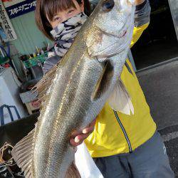 金沢八景鴨下丸 釣果