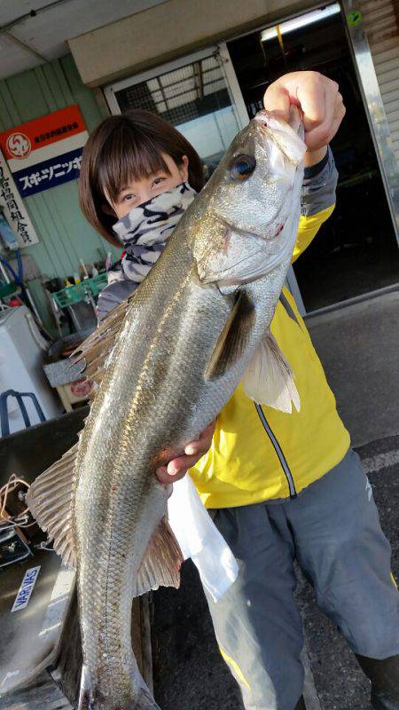 金沢八景鴨下丸 釣果