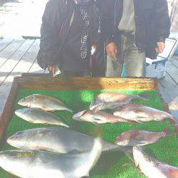 海の釣堀 海恵 釣果