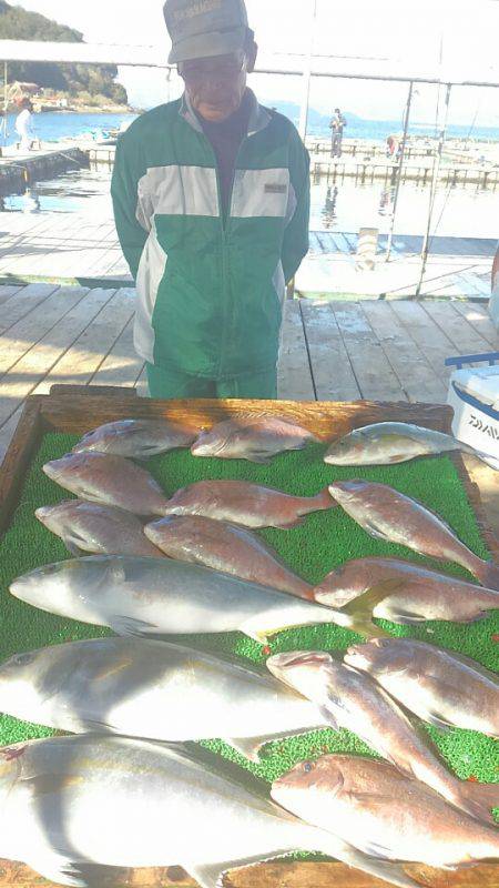 海の釣堀 海恵 釣果