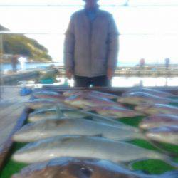 海の釣堀 海恵 釣果