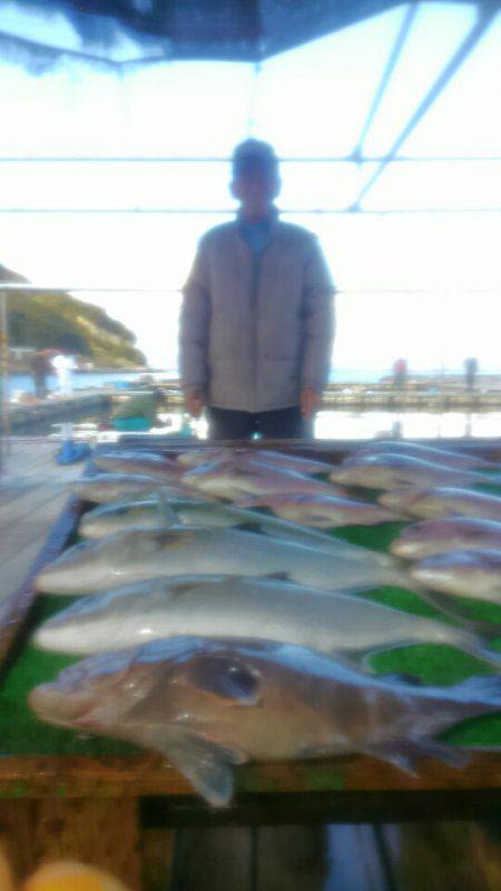 海の釣堀 海恵 釣果