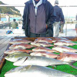 海の釣堀 海恵 釣果