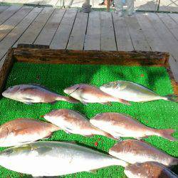 海の釣堀 海恵 釣果