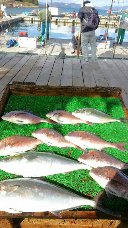 海の釣堀 海恵 釣果