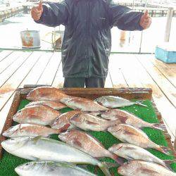 海の釣堀 海恵 釣果