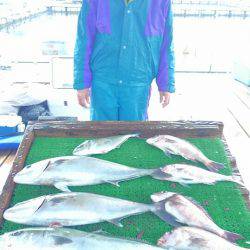 海の釣堀 海恵 釣果