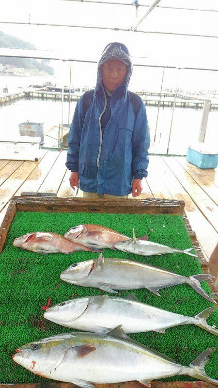 海の釣堀 海恵 釣果