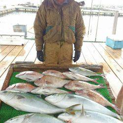 海の釣堀 海恵 釣果