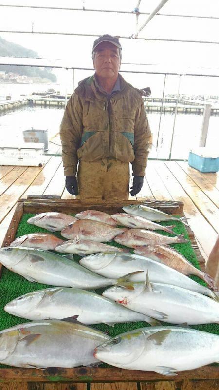 海の釣堀 海恵 釣果